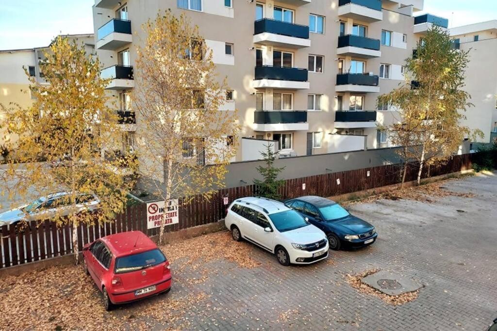 Spacious Flat, With Free Parking & Air Conditioning Floreşti Exteriér fotografie